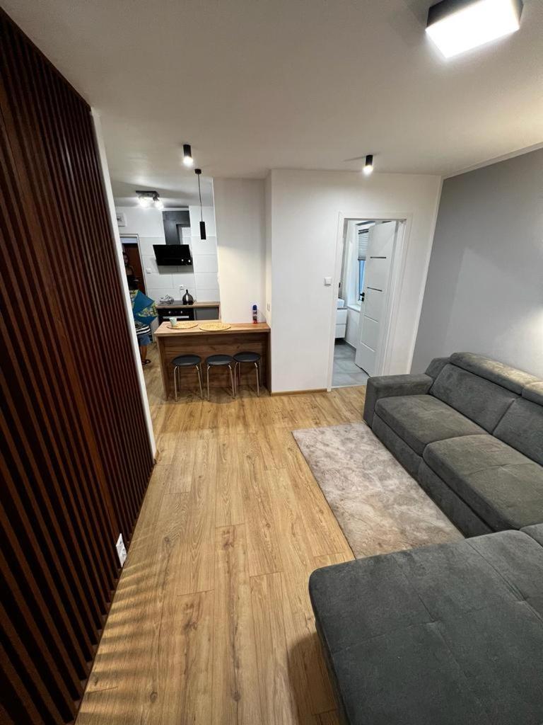 Apartment Dziupla